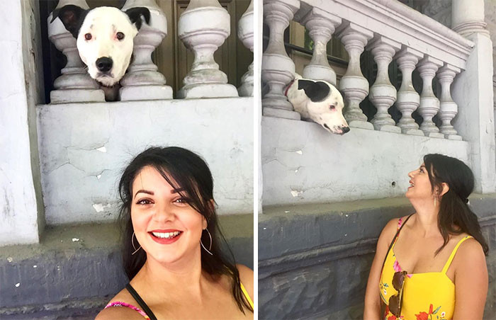 11. "Was waiting for a taxi in Argentina pre-COVID when I heard sniffling."