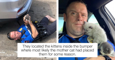 Texas Officer of the Year Rescues Two Kittens, and They Cannot Stop Cuddling Him