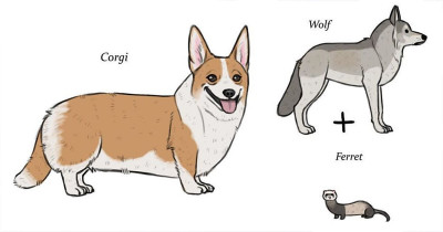 Artist Creates Compelling Illustrations That Give Interesting Origins to Dog Breeds