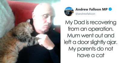 Internet Swoons Over Post Shared of a Strange Cat Cuddling a Man Recovering from Surgery