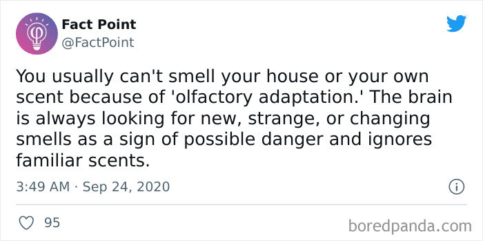 22. Well, You Know the Answer If Someone Asks,