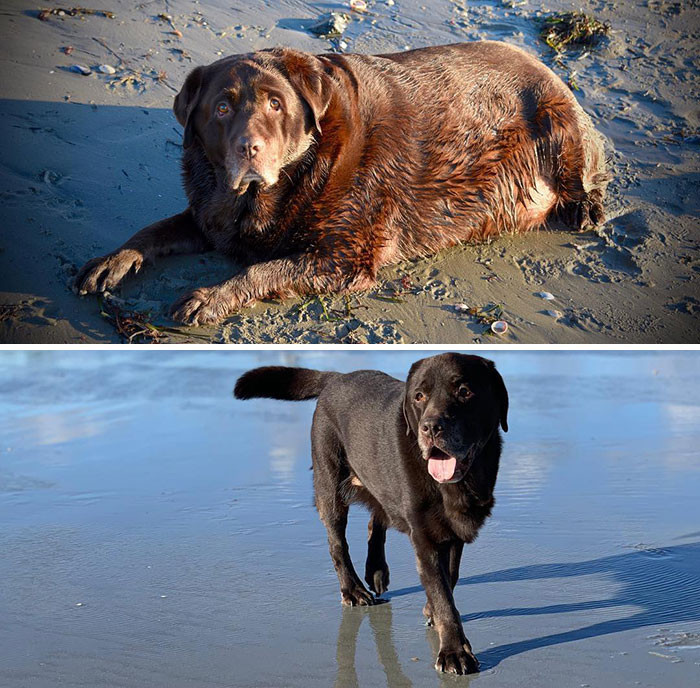 "Pics From Shiloh's Weight Loss Journey: Before (2016) & After (2019) - Down 72 Lbs."