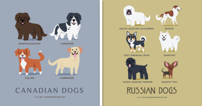If You're Obsessed With Dogs, Then You Will Absolutely Love This Guide To The "Dogs Of The World"