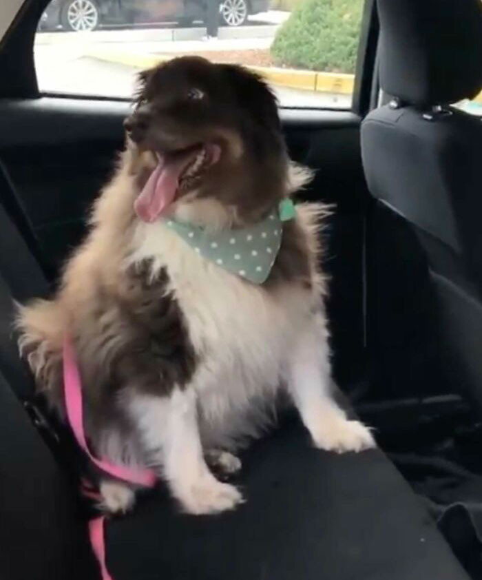 Poor Oat Milk has been through so much.