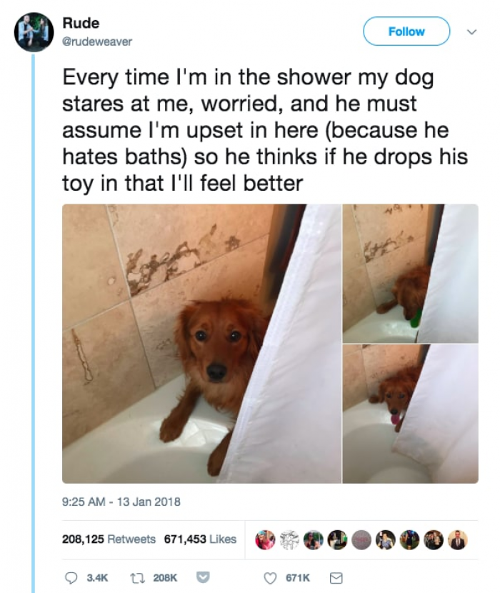 10. He only wants to make his owner feel better