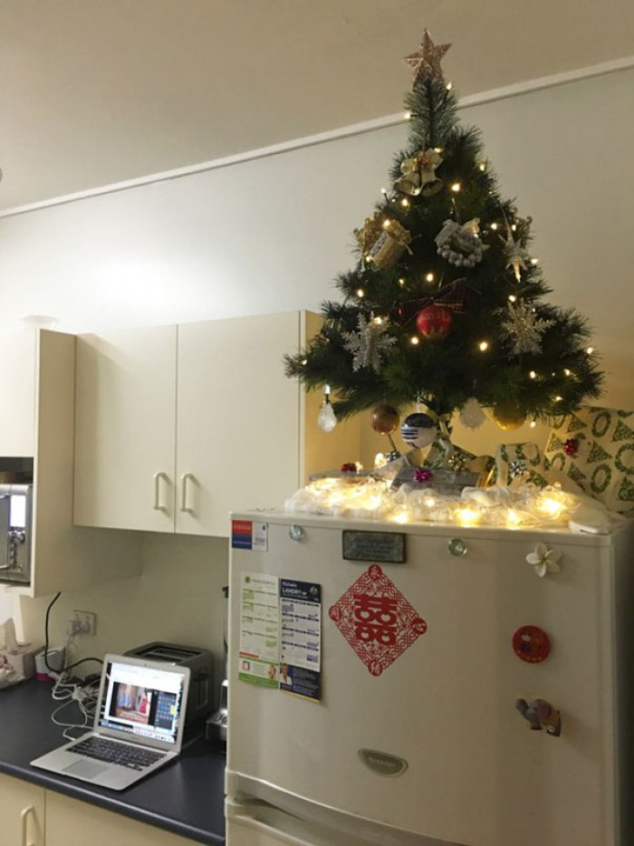 #37 Our Cat Proof Christmas Tree! We Decided To Buy A Smaller One And Put It On Top Of The Kitchen Fridge