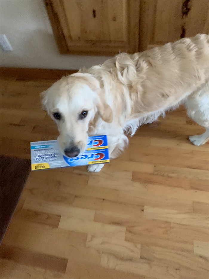 10. She just wants to brush her teeth