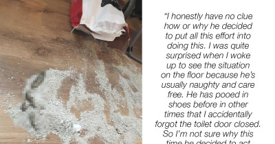 This Cat Decided To Make Its Own Litter Tray Since The Humans Forgot To Leave The Bathroom Door Open