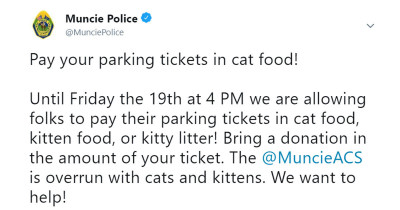 This City Let People Pay Their Parking Fines By Donating Cat Food To A Local Shelter