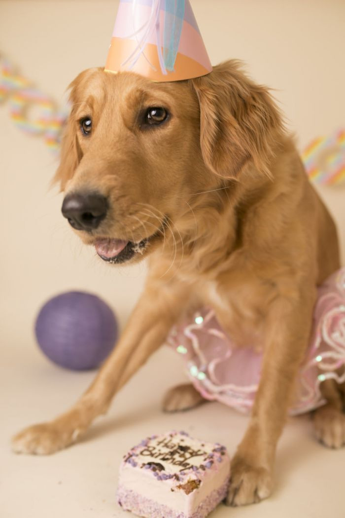 That's the smile I'm looking for