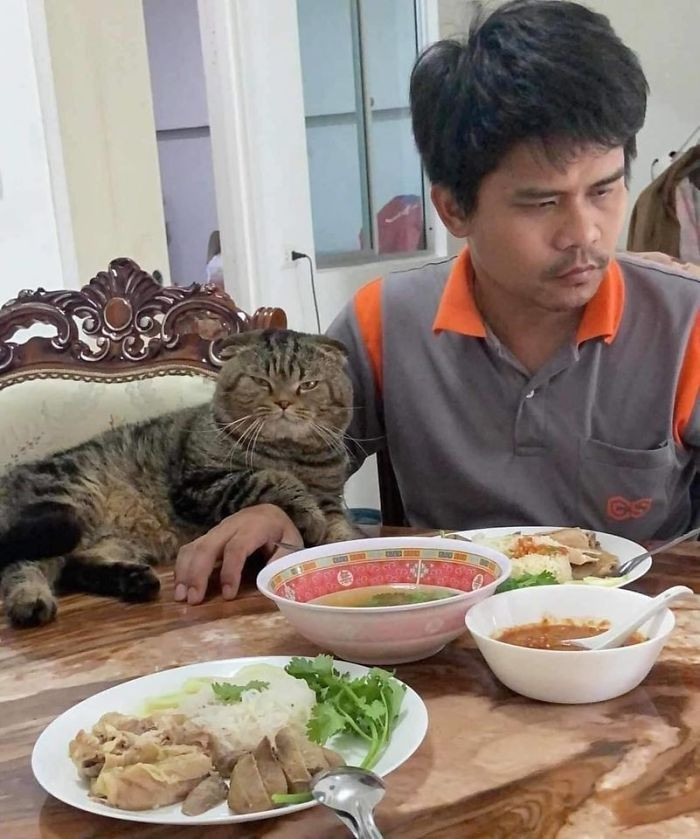 #1 This cat's face says: Don't even think about it, he's mine!