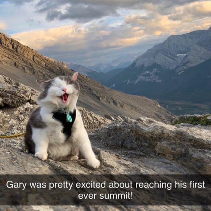 Not to be dramatic, but I love Gary.