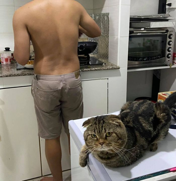 #28 Can we help you?