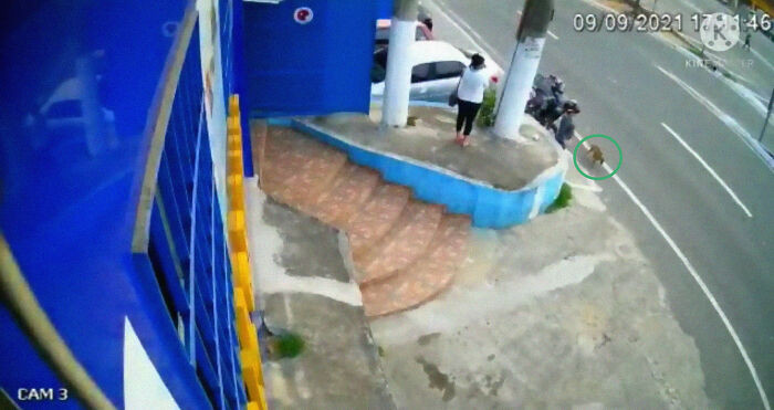 Look at her cautiously making her way there.