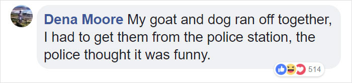 Spoiled dog and pack members stand together, excited expressions suggest a big night.