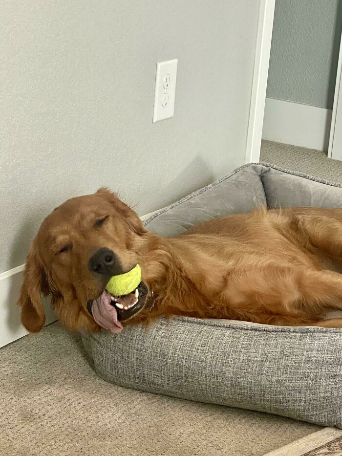 17. "When Ball Is Life"