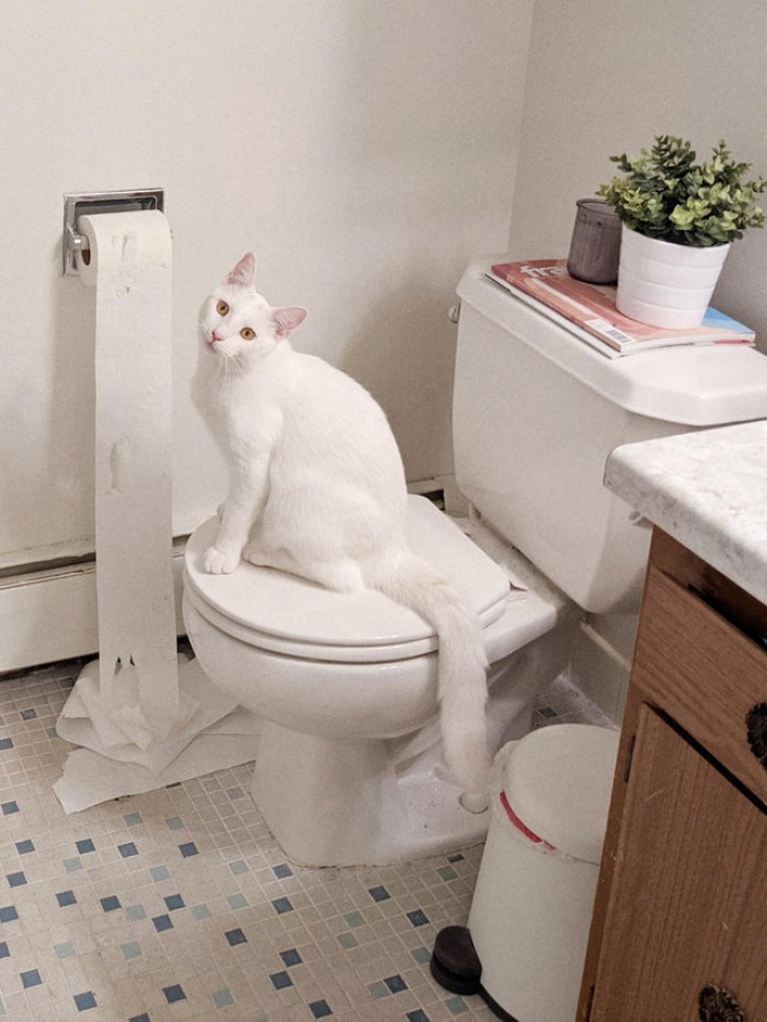 3. "Wow, I wonder who did this?"