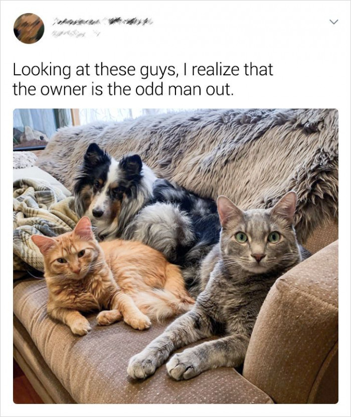 11. They look like one solid team