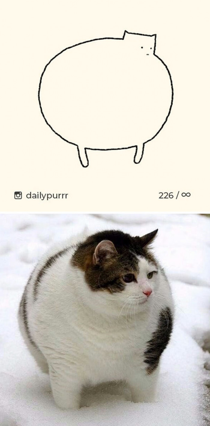 The round about kitty