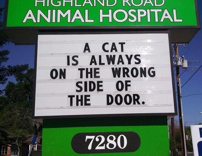 9. A cat's purr-spective explained.