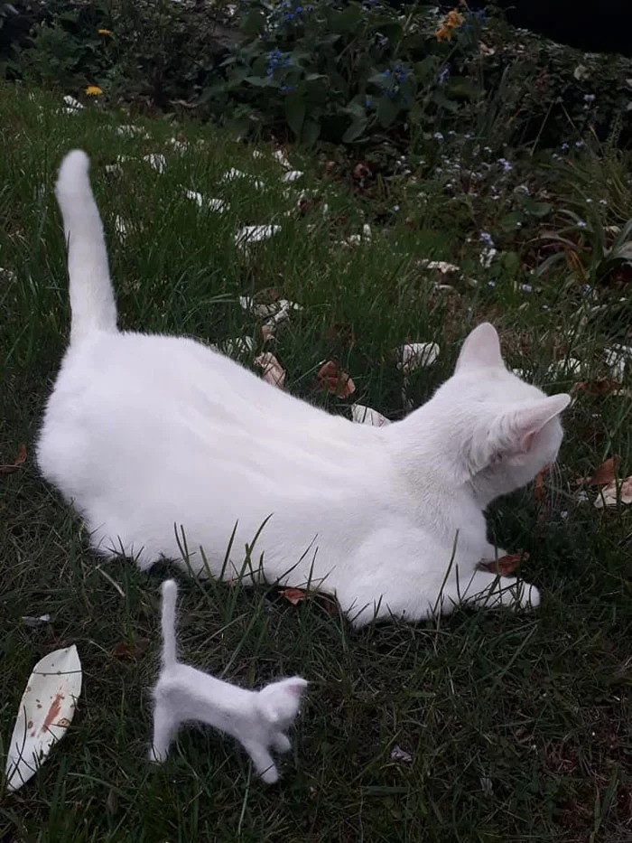 Bonus points for the accuracy of this!