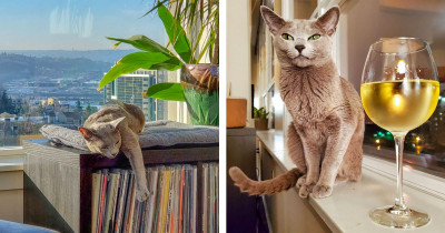 Instagram's Teeny Dina Is As Sassy As She Is Stunning