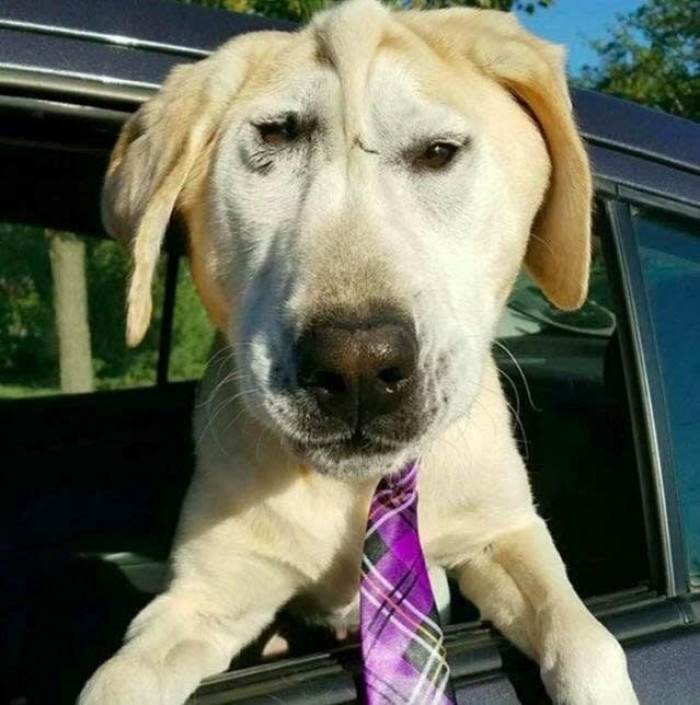 His face got a tad smooshed