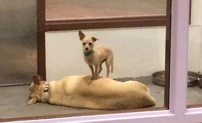 4. Not Just a Fluke!