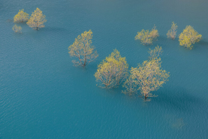 1. The Ocean Color Canvas. Silver, Nature