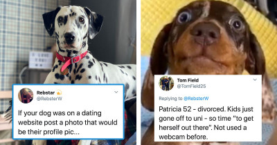 Hilarious Dogs Have Their "Dating Profile Pictures" Shared On Twitter For Everyone To Laugh About