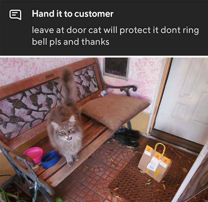 10. This Was So Cute to Me This Morning