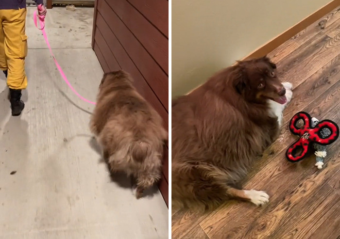 Ashton says he's grateful for all the attention Oat Milk's story has received.