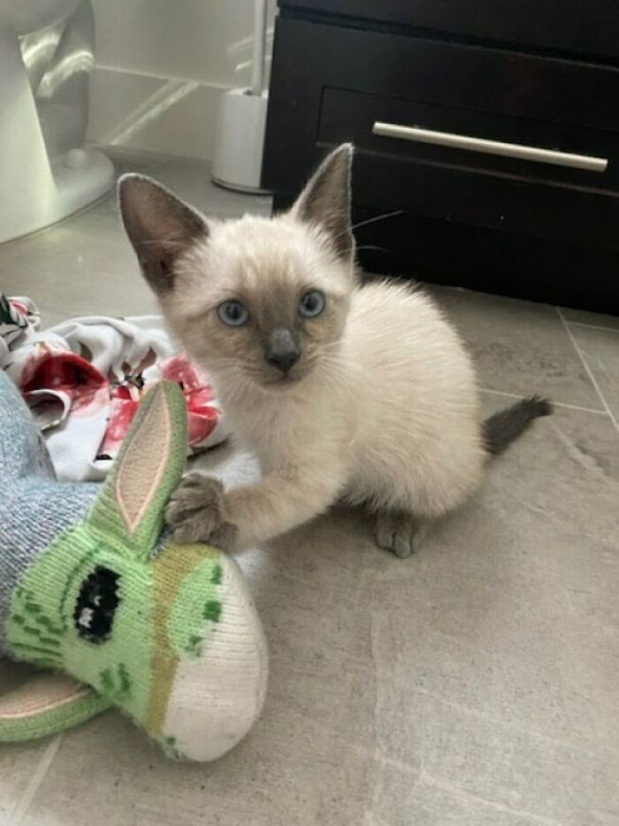 37. Adorable