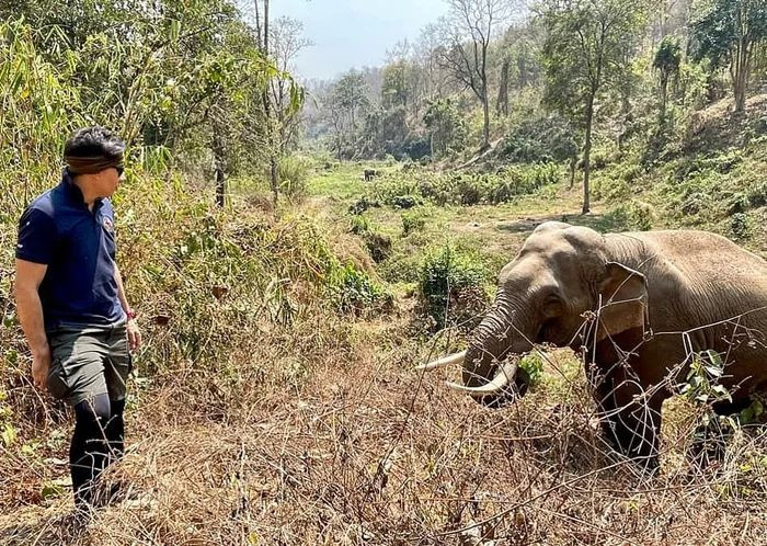 3. The moment the elephant notices him