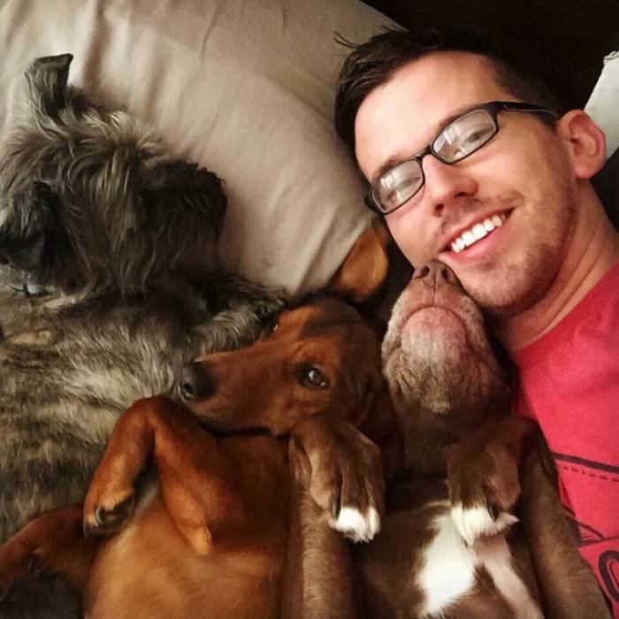 Dog sprawled after the chase, looking off with dramatic, puzzled body language.