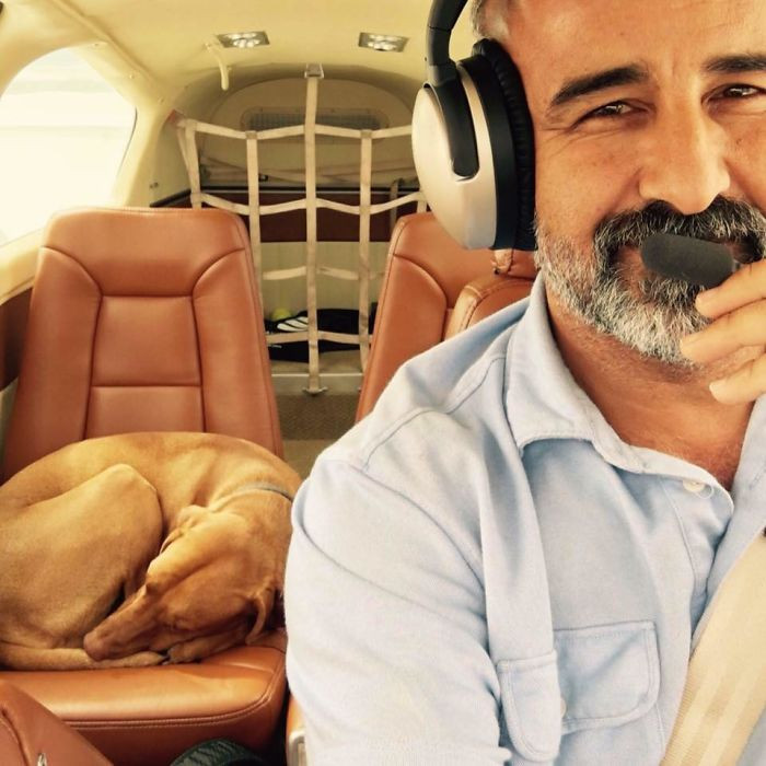 Murray is not such a good co-pilot, as he always falls asleep.