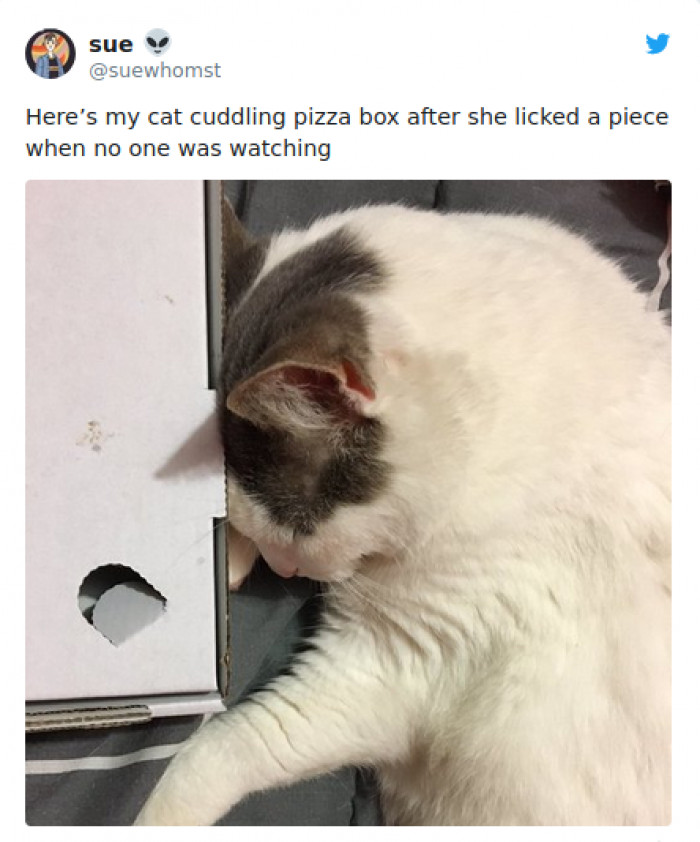 9. "Pizza, I love you."
