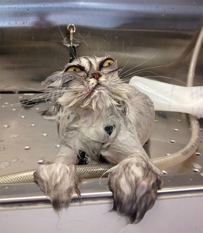 24. "I AM UGLY! Somebody call 911! FIX ME!"