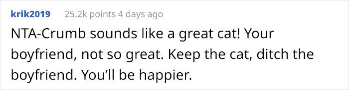 The Redditors were split. Pet owners supported OP