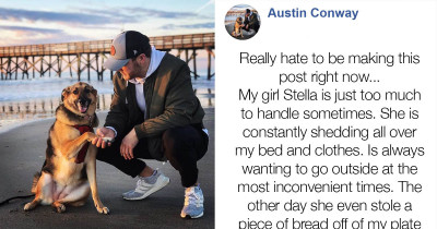 Man Shares An Honest View Of The Challenges That Dog Owners Face