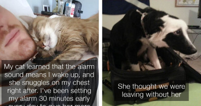 These Pets Are So Clingy They'll Do Everything In Their Power To Keep Their Humans From Leaving