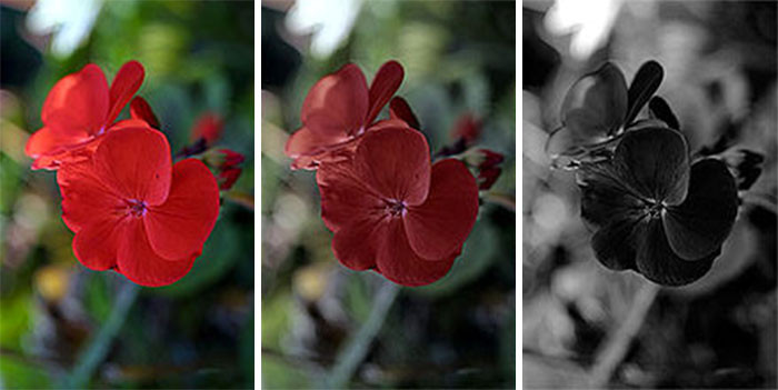 25. The reason why cinema chairs are red