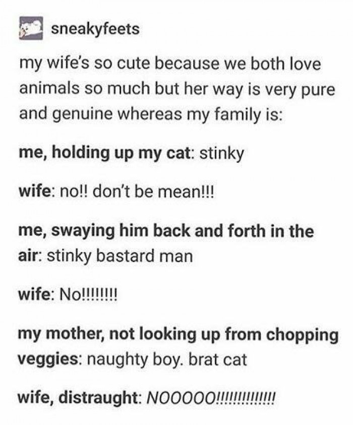 6. Two kinds of cat lovers: