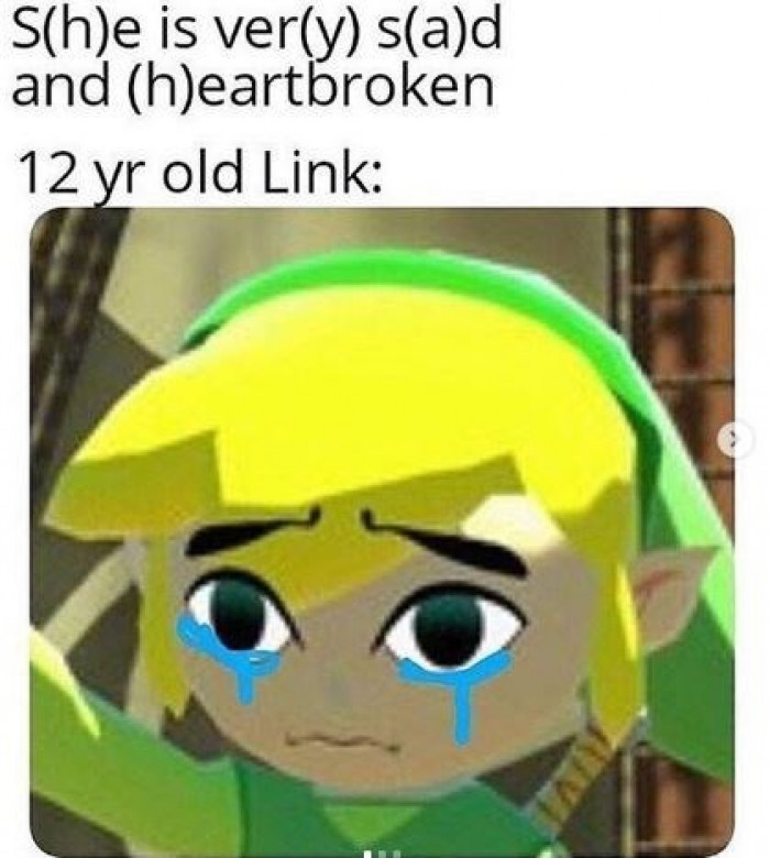 16. 12 year old Link