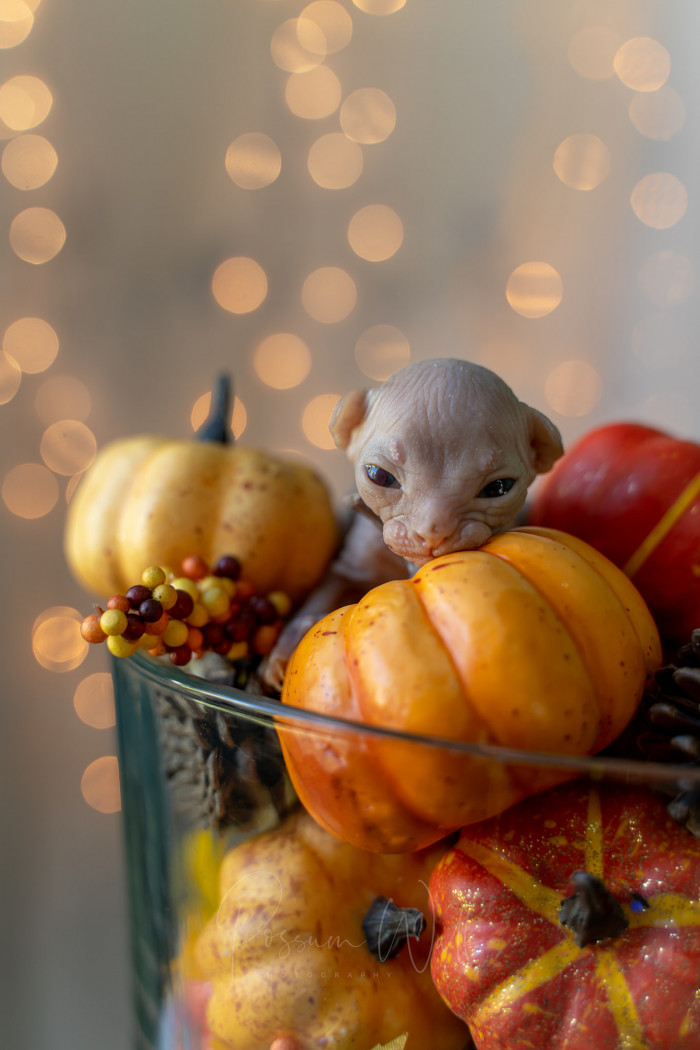 14. Have you EVER seen a more precious baby?