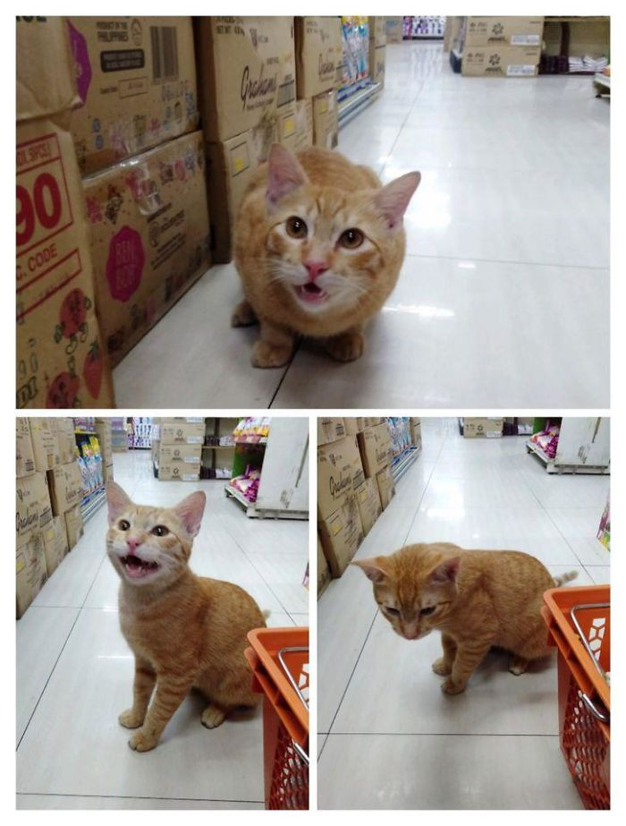 "The Cutest Staff In Our Local Supermarket"