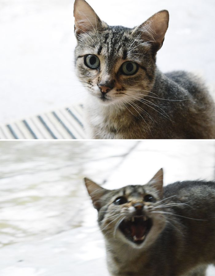 3. BEGONE, YOU EVIL PERSON!