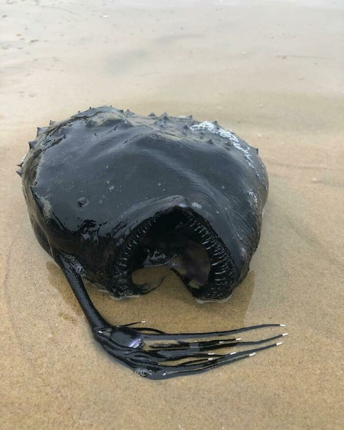 25. Lost Black Handbag Found At The Beach