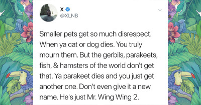 Twitter User Wonders Why Everyone Is So Disrespectful To Small Pets And He Got The Funniest Replies