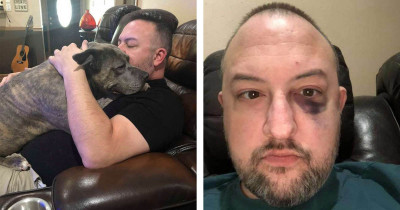 Rescue Pit Bulls Save Their Owner's Life During Terrifying Attack